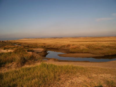 Texel 2008 1