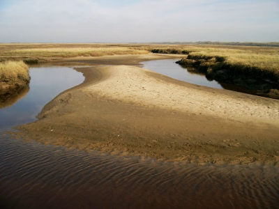 Texel 2008 2