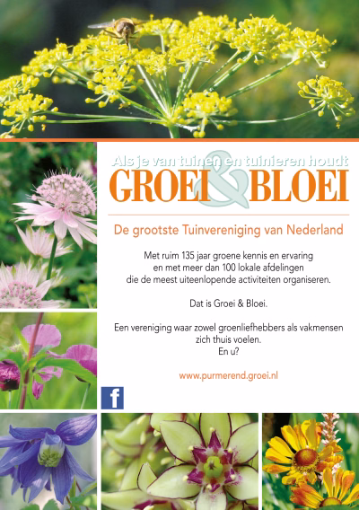 Groei & Bloei Flyer