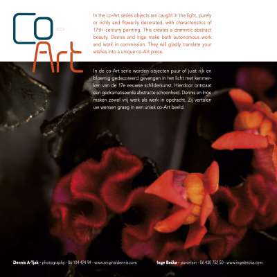 Co-Art – promotiefolder achterkant