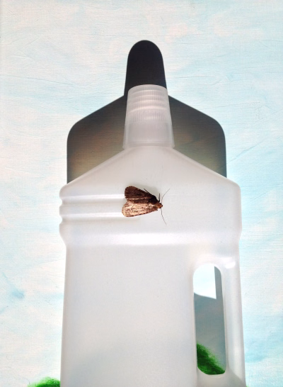 Plastic fles met motje (1)