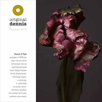 Dennis A-Tjak – promotiefolder voorkant