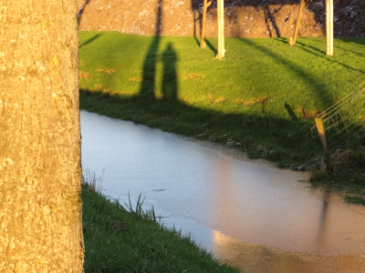 Winterzon in Beemster 1