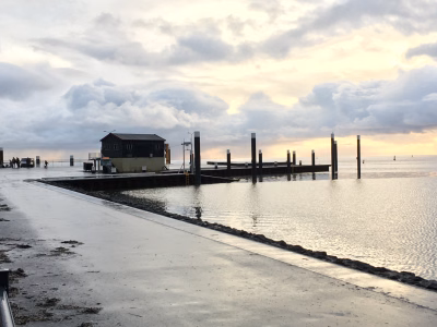 Ameland 5