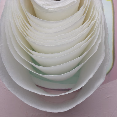 The toilet papers_9181