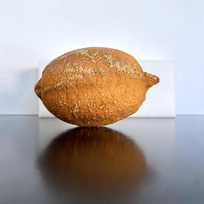 Lemon without juice 0077