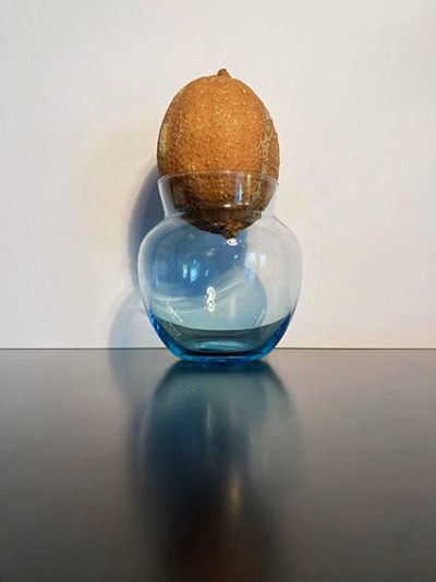 Lemon without juice 0088