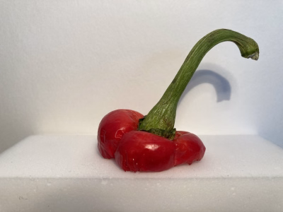 Paprika 0707