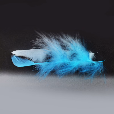 Blauw veertje