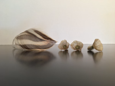 Veertje met zaadjes_0489