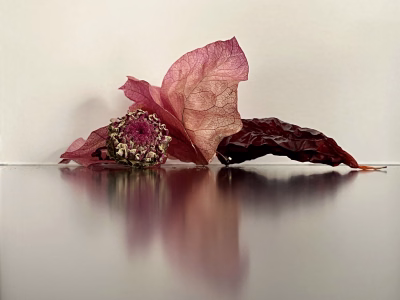 Roze-rood met een staartje…