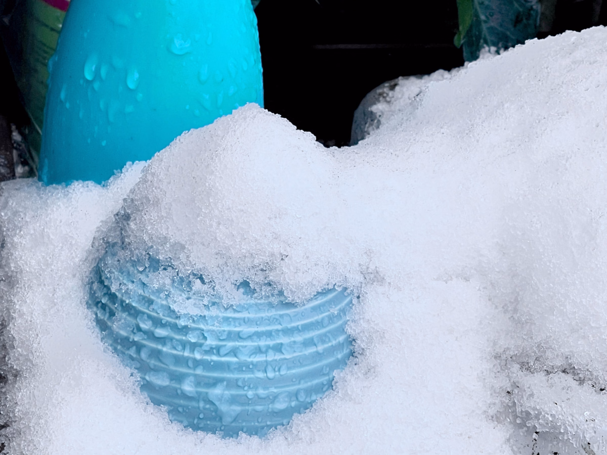 Sneeuw